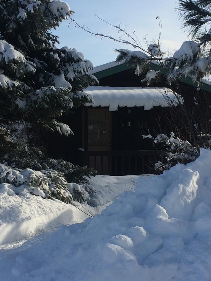 Winthrop Mountain View Chalets Екстериор снимка
